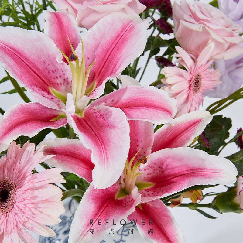 花點(diǎn)時(shí)間設(shè)計(jì)師款花束-萌動(dòng)女神