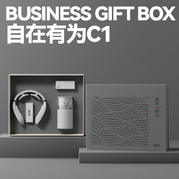 长青兔*SKG商务自在有为C1套装
