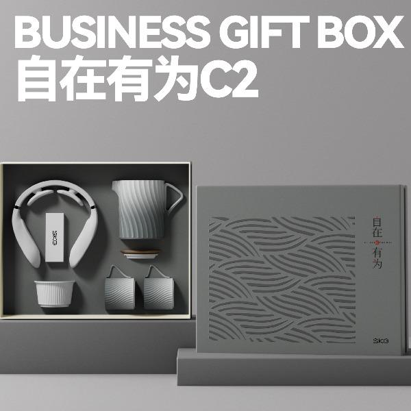 长青兔*SKG商务自在有为C2套装
