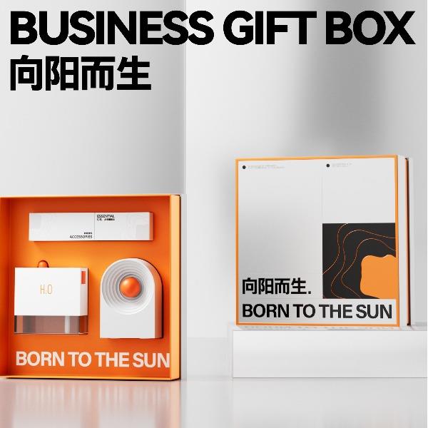 長青兔向陽而生套裝