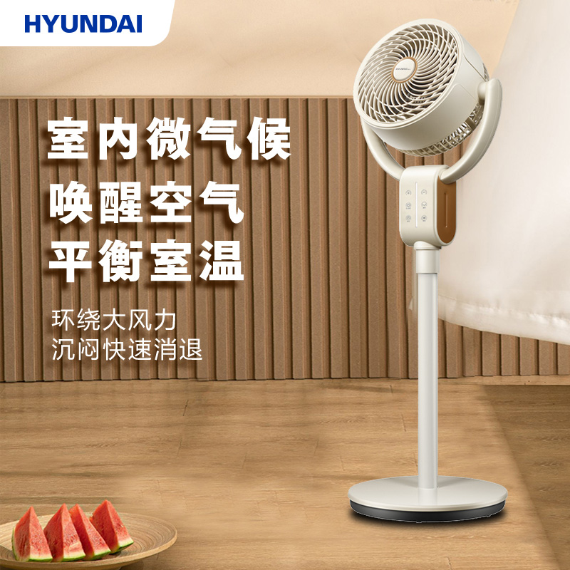HYUNDAI循环扇（遥控款）BL-XHS-2D